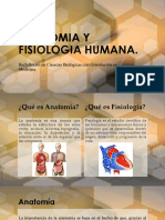 Anatomia y Fisiologia Humana