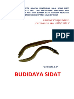 BROSUR Budidaya Ikan Sidat