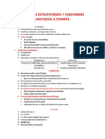 Depósitos Estratiformes y Podiformes Asociados A Cromita