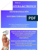 2 1 Torax-Abdomen y Paredes Musculares