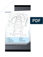 Kasus Radiologi 3 Dan 4