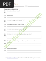 Respiration in Organisms Worksheet 2