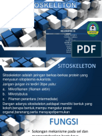 Sitoskeleton dan fungsinya