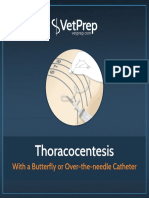 Thoracocentesis: With A Butterfly or Over-The-Needle Catheter