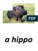 A Hippo