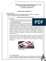 P12 Textos Académicos PRACTICA