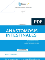 8 Anastomosis 260266 Downloable 1434596
