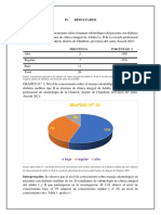 IIU Elaboran Los Cuadros y Gráficos