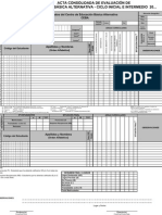 MODELO Acta Evaluacion EBA Ciclo Inicial E Intermedio