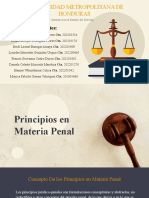 Principios en Materia Penal Presentacion