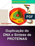 1º ANO - Ácidos Nucleicos - Duplicação Do DNA e Síntese Protéica