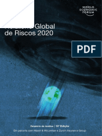 Relatorio Global de Riscos 2020 - Sumario Executivo