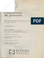 Edgar H_Consultoria de procesos_1_17_Opt