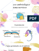 Proceso Embriológico Sistema Nervioso