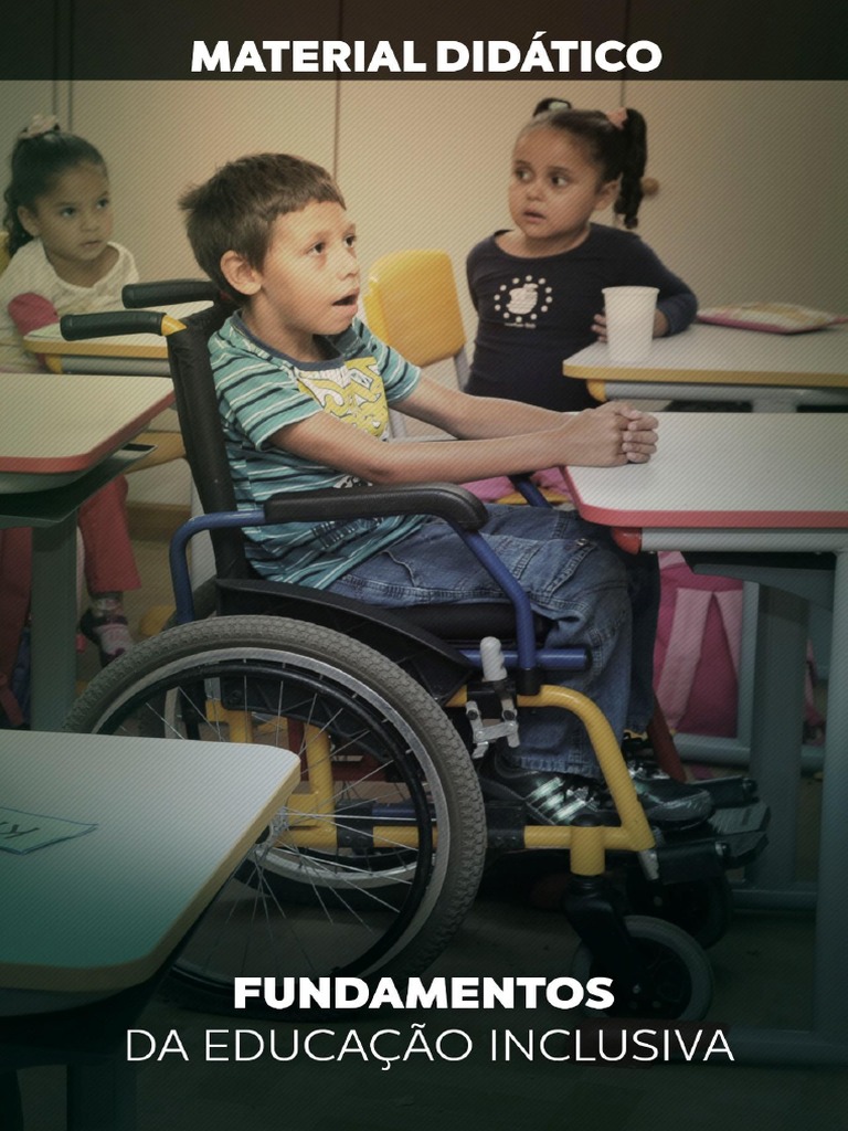 Inclusão e Direitos de Pessoas com Deficiência | PDF | Exclusão social ...