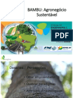 Slides - Bambu, Agronegócio Sustentável