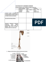 Guia de Estudio ANATO 9 - Miembro Superior