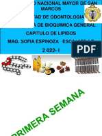 LIPIDOS