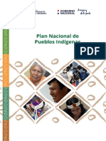 Plan Nacional de Indígenas Del Paraguay CPI 2022