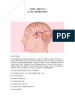 Taller I Bimestre Ii