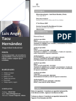 Luis Angel Tacu Hernandez Currículum