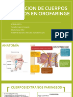 Extracción de cuerpos extraños en orofaringe