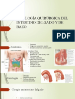 Cirugía intestino delgado y bazo