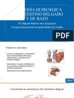 Mehu107 - 27 - Patología Quirúrgica de Intestino Delgado y Bazo