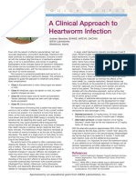 Heart Worm Course