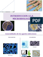Clase 3. Introducción Microbiología y Estructura Bacteriana