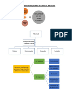 CienciasNaturalesPubertadCicloFertilidad