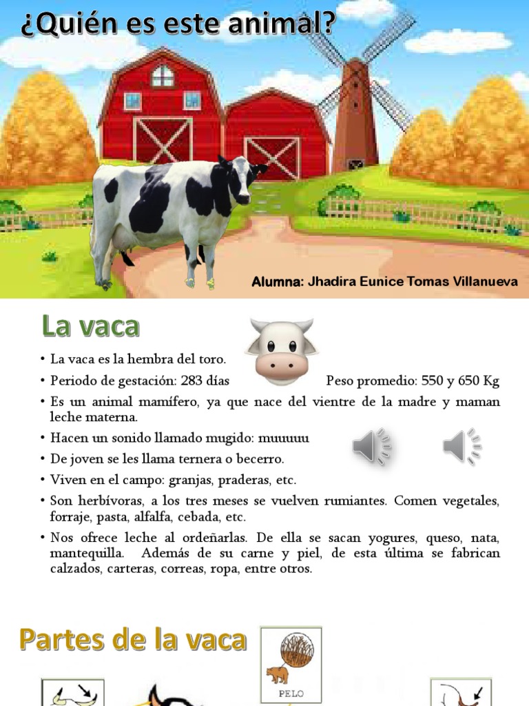 Características de la Vaca para Niños | PDF