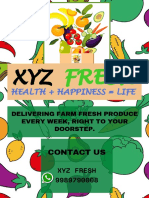 xyz flyer final