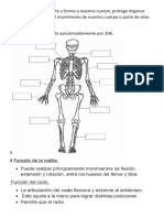 1 El esqueleto da soporte y forma a nuestro cuerpo