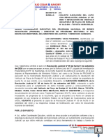 Solicito Ejecución de Resolución Judicial-Devolución de Vehículo Incautado-Luz Antonieta Yace Figueroa-2020-PRONABI