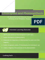 Chloroplast and Photosynthesis: For Advanced Cell and Molecular Biology