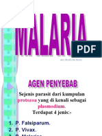 MalariaPengurusan