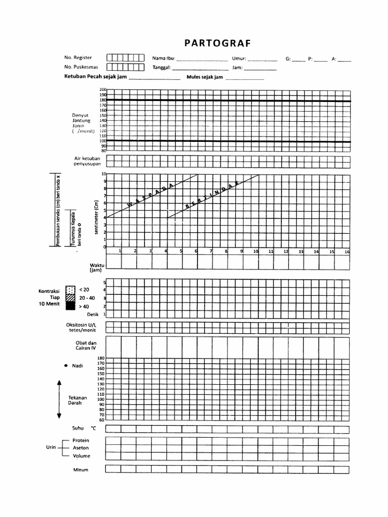 PARTOGRAF | PDF