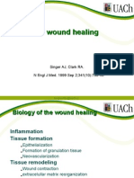 Cutaneos Wound Healing