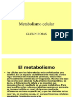 Metabolismo celular2