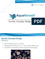 Aerobic Granular Sludge System Nereda-1