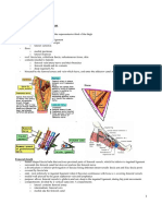 Anatomy LowerLimbAreas