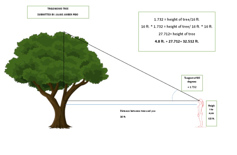 TRIGONOME-TREE (PELSON) MATH | PDF