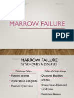 Bone Marrow Failur
