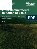 From Commitments To Action Scale - DeforestATION FREE SUPPLY CHAINS