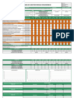 Hse-Prog-07 Programas de Gestion Ergonomico