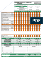 Hse-Prog-12 Programa de V.E Por Riesgo Psicosocial