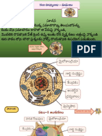 Cell PDF 2