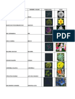 Agronomia Jardin Simbologia-1