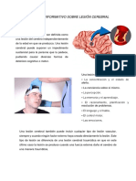 Resumen Informativo Sobre Lesión Cerebral
